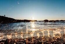 喜洋洋水果机下载-喜洋洋水果机，一场虚拟果园的奇妙之旅