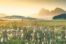 足球目前比分-实时追踪，足球目前比分背后的激情与策略交响曲